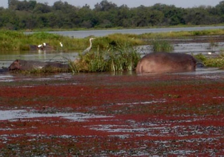 Bénin: le corps du guide des touristes français identifié, la "thèse de l'enlèvement se précise"