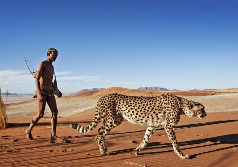 Choisir son expatriation : direction la Namibie avec Camille