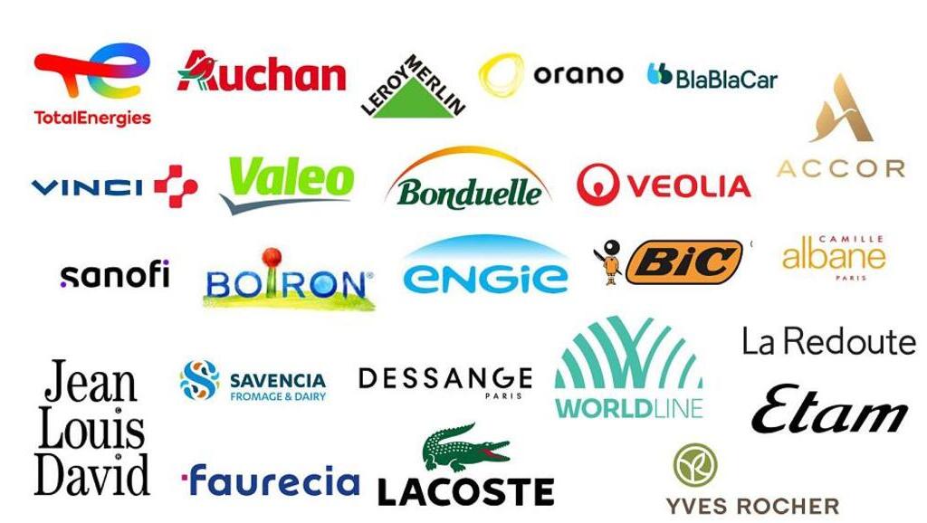 multinationales françaises multinationales françaises