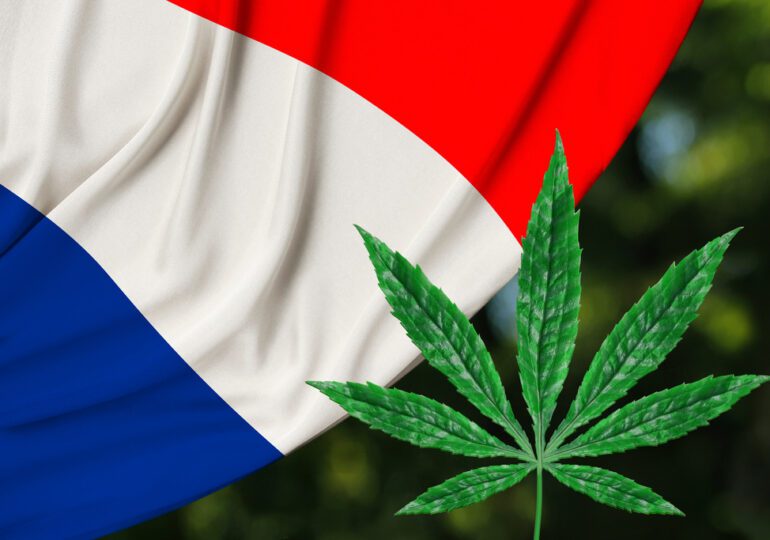 Légalisation du cannabis : la France va suivre « de près » le projet de loi allemand