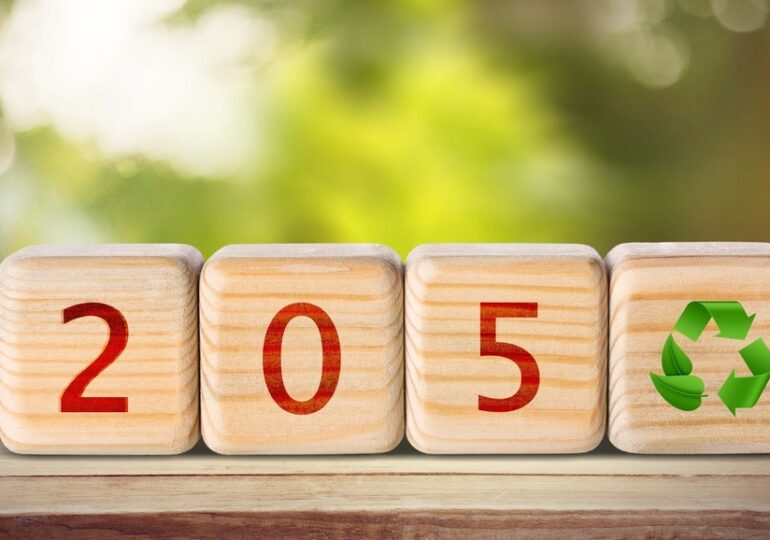 En 2050, qui seront les plus forts ?