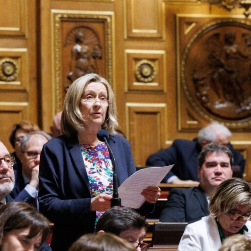 Hélène Conway-Mouret s'exprimant dans l'hémicycle du Sénat