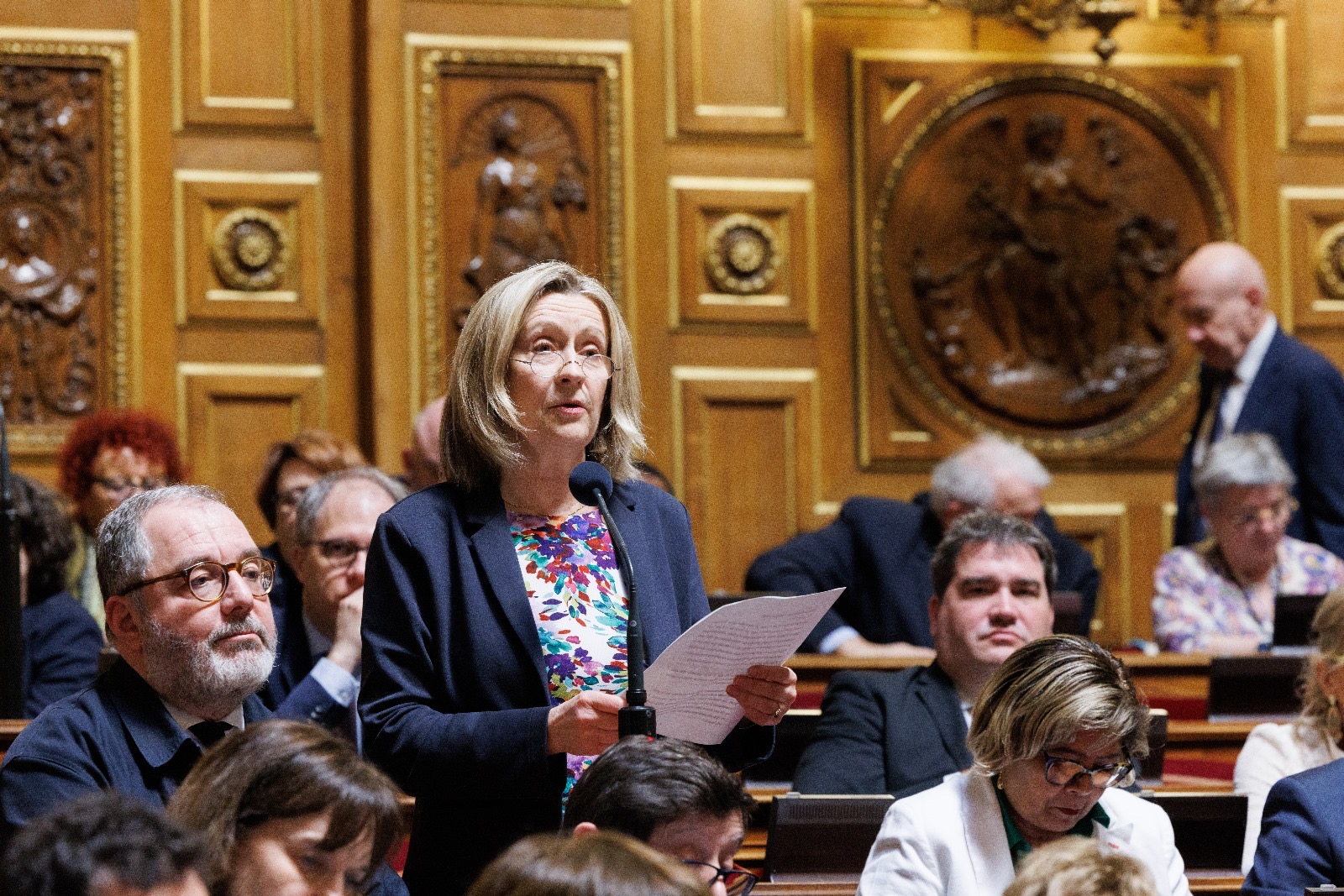 Hélène Conway-Mouret s'exprimant dans l'hémicycle du Sénat