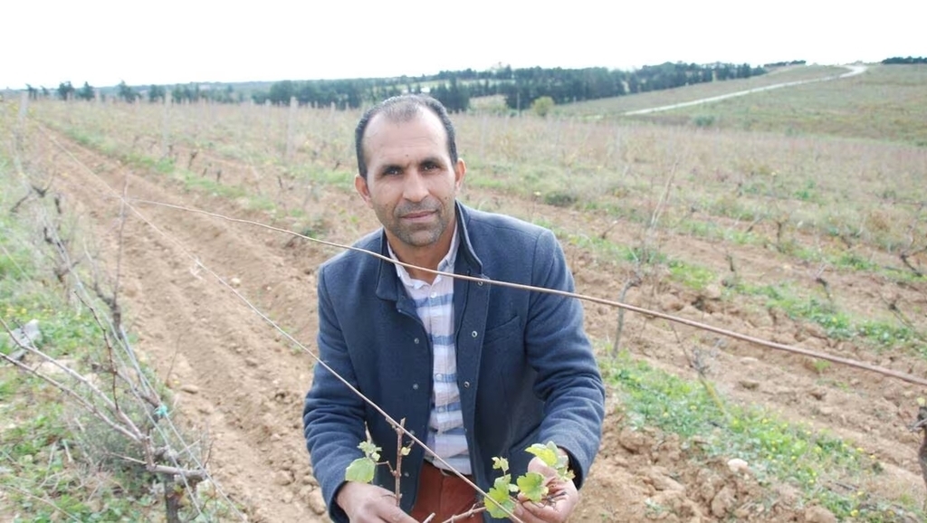 réchauffement climatique