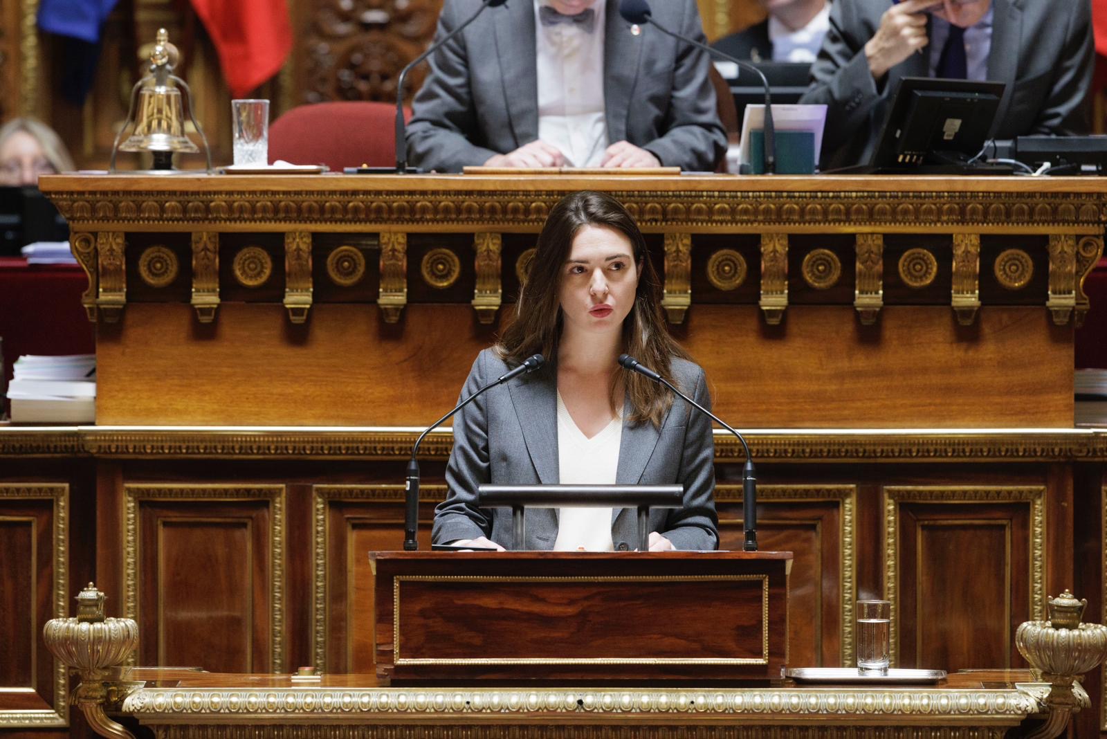 Sophie Briante Guillemont au Sénat